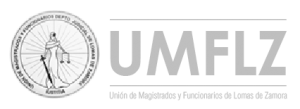 logo UMLZ 2022_gris-03