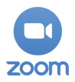 logo ZOOM